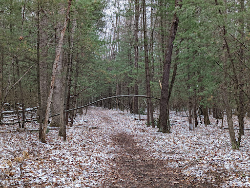 Sandhill Nature Preserve