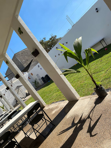 La terraza de George - Thumbnail