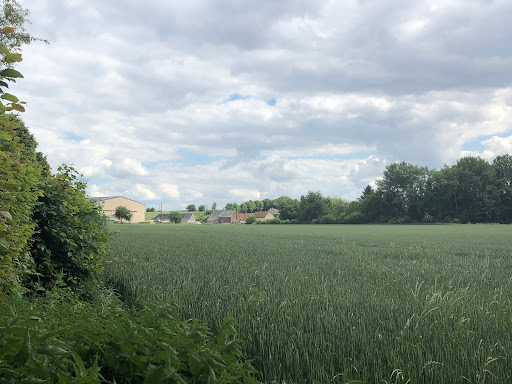 GR 800 Sentier de la Somme. De Fonsomme (Aisne) à St-Valery-sur-Somme (Somme) - Thumbnail