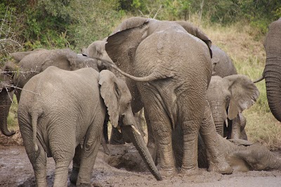 Photos of Thula Thula Game Reserve