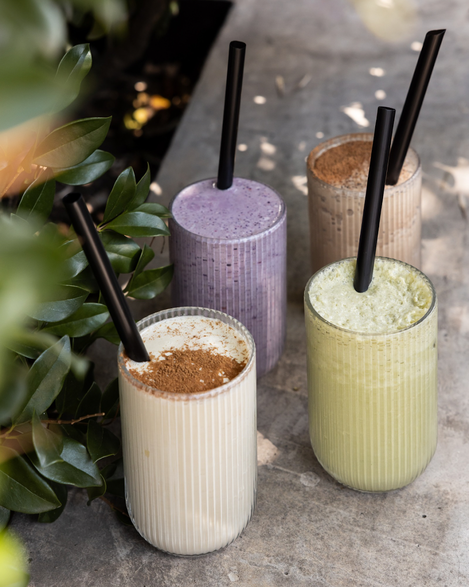 Jungla Café y plantas — photo 3