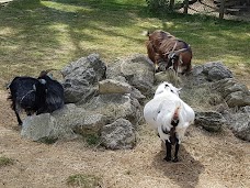 Hanwell Zoo london
