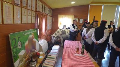 Photos of Sirana RUNOL8ST