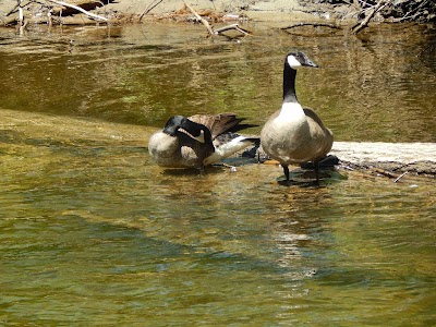 Big Big on the Battenkill Kayak and Tubing