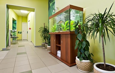 Photos of ХХI век