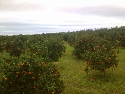Photos of Santa Fe de Amboro