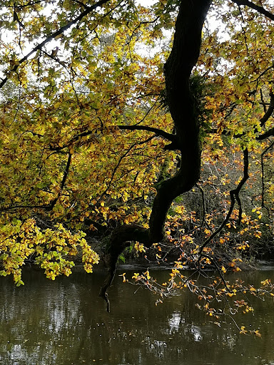 Henllan Bridge - Thumbnail