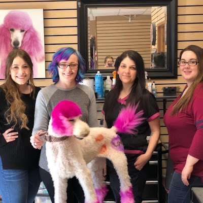 The Pink Poodle Grooming Salon LLC