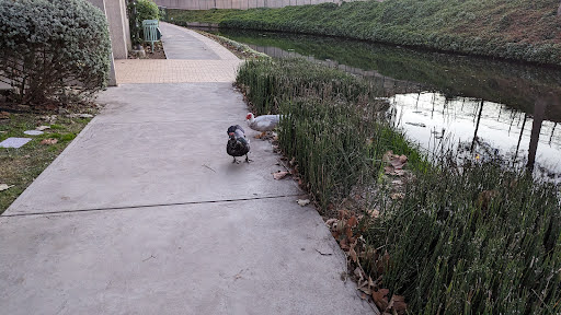 Museum Reach: San Antonio River Walk Gallery - United States