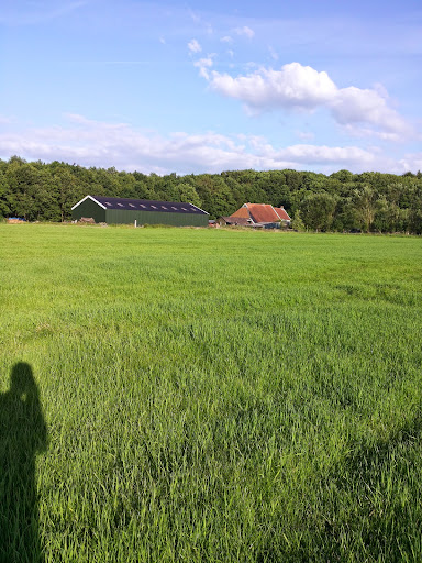 Camping Smalbroek Gallery - Netherlands