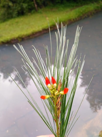 Photos of Chajil Siwan Ecological Park