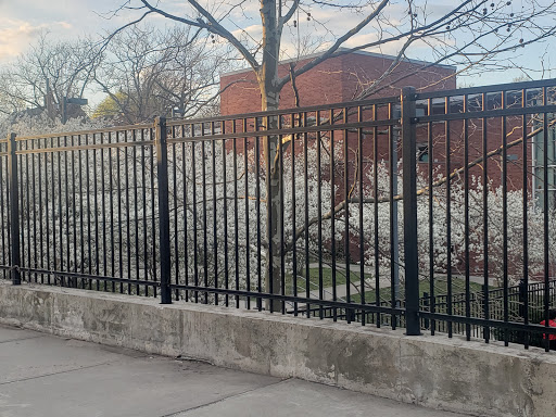 East Rock Dog Park - Thumbnail