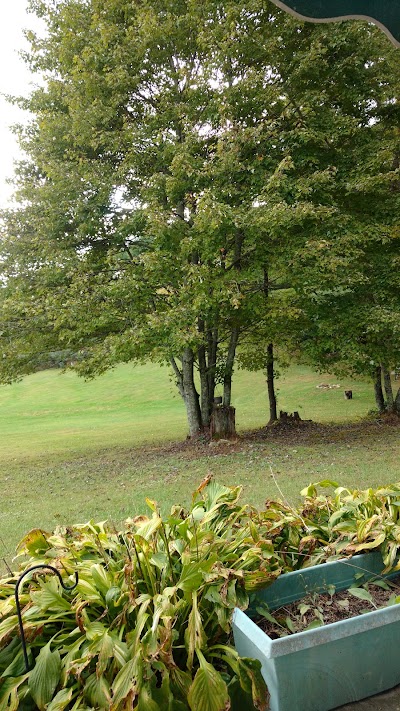 Photos of Miller's Campground