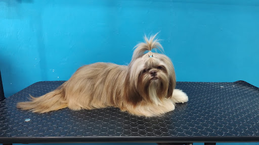 Estética Canina PetClan - Sin Servicio a Domicilio