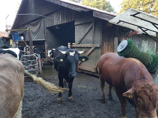 Biolandhof Brummer- Bange - Thumbnail