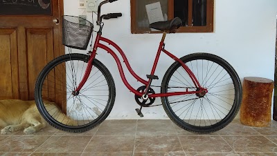 Photos of La Bicla Bike Rent