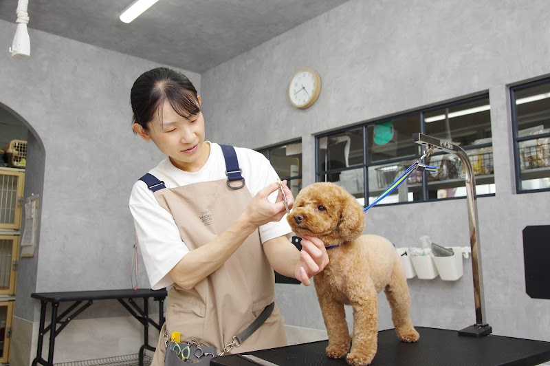 ドッグサロン Petit Bonheur(プチ ボヌール)