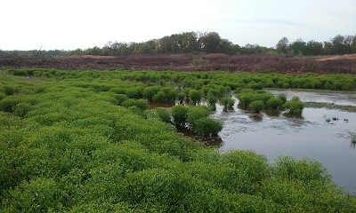 Lexington Wildlife Management Area