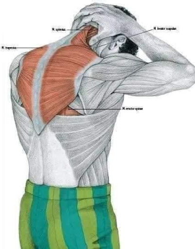 Expert Doctors of Physical Therapy LLC - Thumbnail