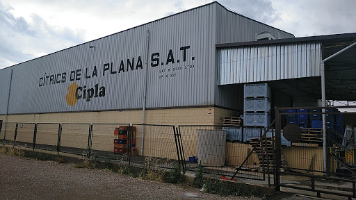 CIPLA S.A.T - Visual