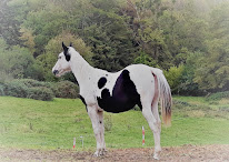 GAEC équi-lim à Juzet-d'Izaut
