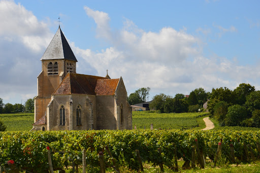 Photo de Domaine Jean-Marc Brocard