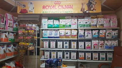 Photos of Bravo Market