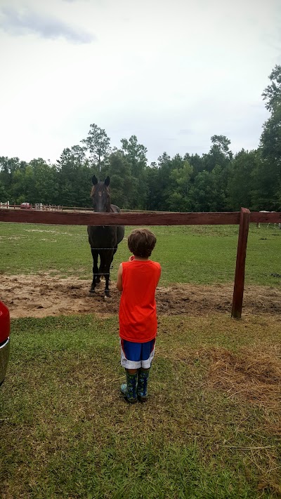 Ridemore Horse Boarding Farm & Berry Picking Destination