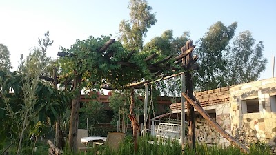 Photos of Lalai Kord cabanas