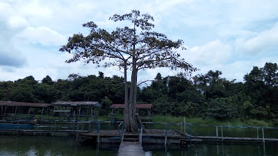 Photos of Mudi Beach
