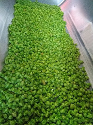 Photo n°26 de La Brasserie du Lez à Saint-Clément-de-Rivière (Brasserie)