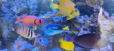 Aquarium Specialties & Research Center