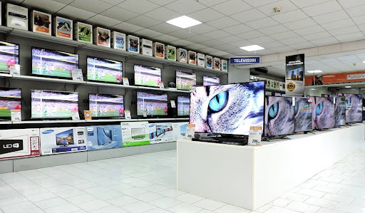 Expert - Ginepro - Visual