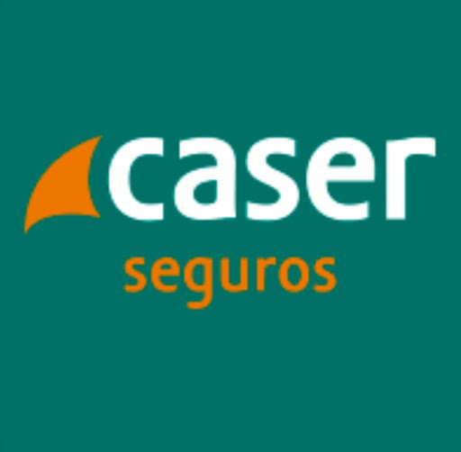 Servicios y Sistemas Gallery - Spain
