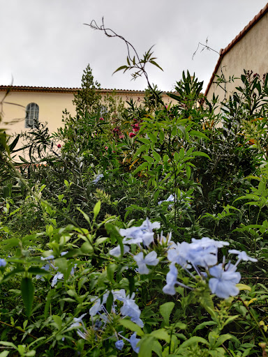 Le Provence - Thumbnail