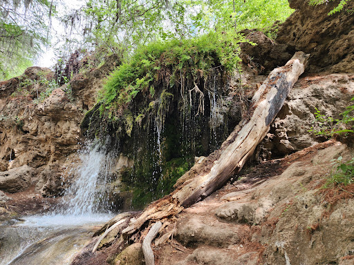 La Barranca De San Quintín