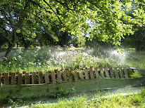 Champ' Escargots à Dampierre-le-Château