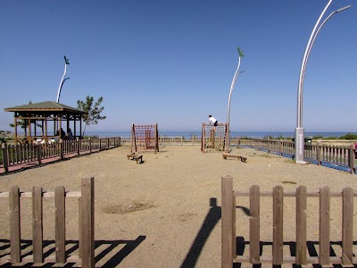 Doğu Park