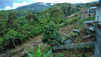 Photos of Bukit Lumut Balai