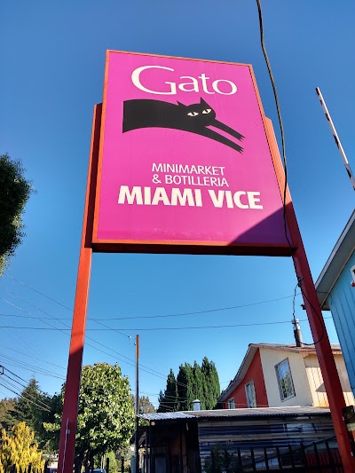 Photos of Miami Vice