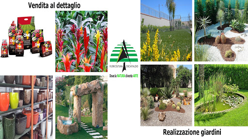 Floricoltura Decataldo - Thumbnail