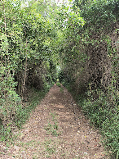 Camino de entrada al Túnel de Guaniquilla - Thumbnail