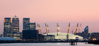The Vinco Group Ltd