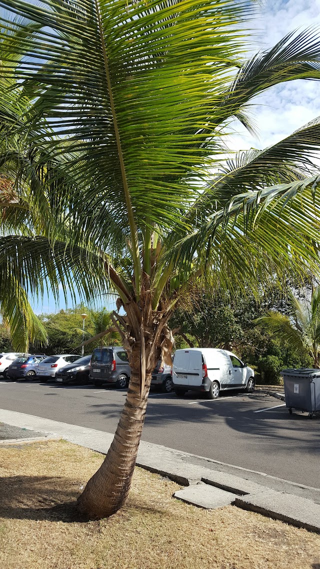 Maison de la Noix de coco