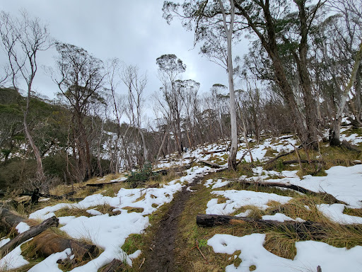 Carmichael Falls - Visual