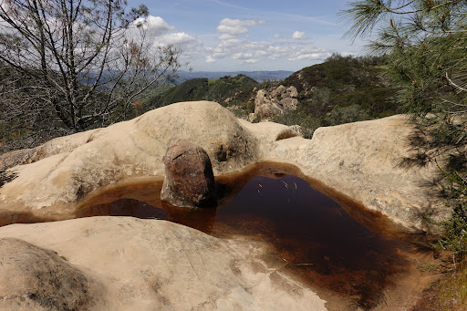 Stone pool - Visual