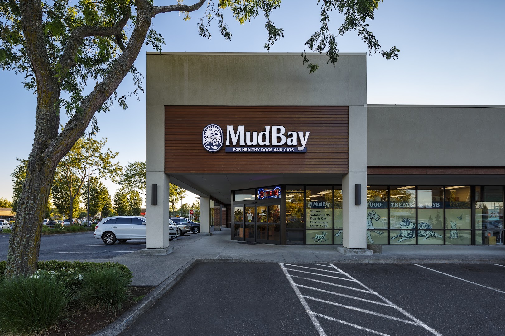 Mud Bay