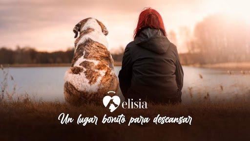 Elisia Cementerio de mascotas