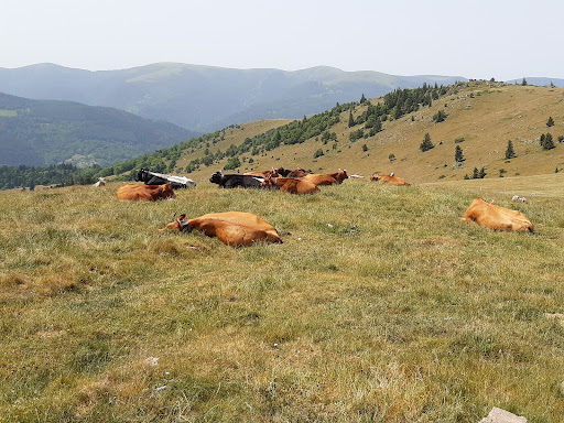 Col du petit Ballon - Thumbnail