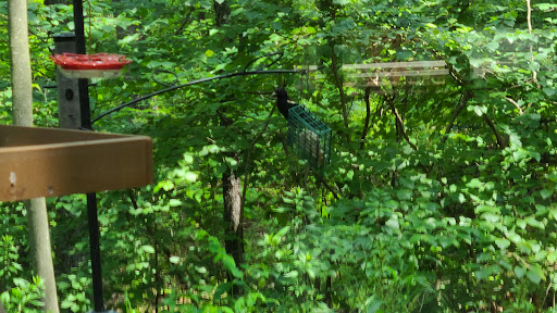 Indiana Dunes State Park Nature Center - Thumbnail